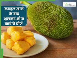 कटहल खाने के बाद भूलकर भी न करें इन 5 चीजों का सेवन, वरना शरीर में भर जाएगा जहर