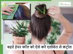 Aloe Vera for Hair Fall: बाल टूटने लगे तो घर में उगा लें एलोवेरा, ऐसे इस्तेमाल करेंगे तो रुक जाएगा Hair loss