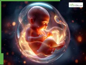 Can A Mother's Emotions Shape A Baby's Subconscious In The Womb?