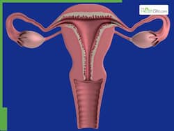 Female Fertility: 8 Factors That Affect The Quality Of Eggs In Women