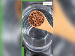 खाली पेट अलसी के बीजों का पानी पीने के फायदे
