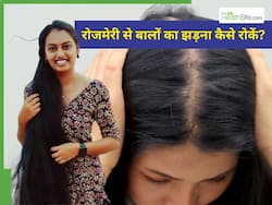 घुटनों तक लंबी होगी चोटी, नारियल तेल में मिलाकर लगाएं 1 चीज, हफ्तेभर में दिखने लगेगा रिजल्ट