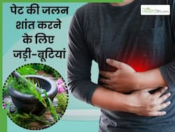 यूनानी मेडिसिन में कैसे ठीक की जाती है पेट की जलन, ये 5 जड़ी-बूटियां दिलाती हैं पेट को ठंडक