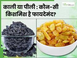 काली या पीली किशमिश: एक्सपर्ट से जानें कौन-सी होती है ज्यादा फायदेमंद?