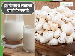 सुबह दूध के साथ मखाना खाने से मिलेंगे ये 5 फायदे, हड्डियां बन जाएंगी एकदम मजबूत और नहीं होगा दर्द