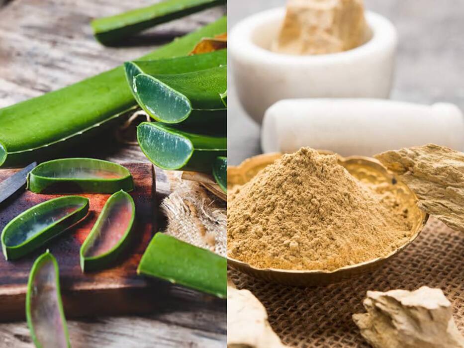 Multani Mitti se Nahane ke Fayde: मुल्तानी मिट्टी से कैसे नहाएं? एक्सपर्ट से जानें इसका सही तरीका