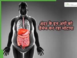 Organ Damage: अगर शरीर का थोड़ा सा भी वजन बढ़ा हुआ है तो शरीर के ये 5 अंग हो सकते हैं डैमेज
