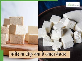 Paneer vs tofu: पनीर या टोफू किसे खाने से शरीर में आएगी ज्यादा जान और किसे खाने से मिलेगे ज्यादा प्रोटीन