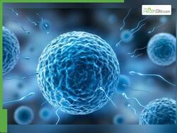 Can Premature Ejaculation Lead To Male Infertility?