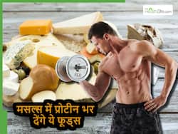 प्रोटीन के मामले में चिकन को भी फेल कर देंगे ये 5 फूड्स, 1 महीने तक खाने से ही बन जाएगा बॉडी