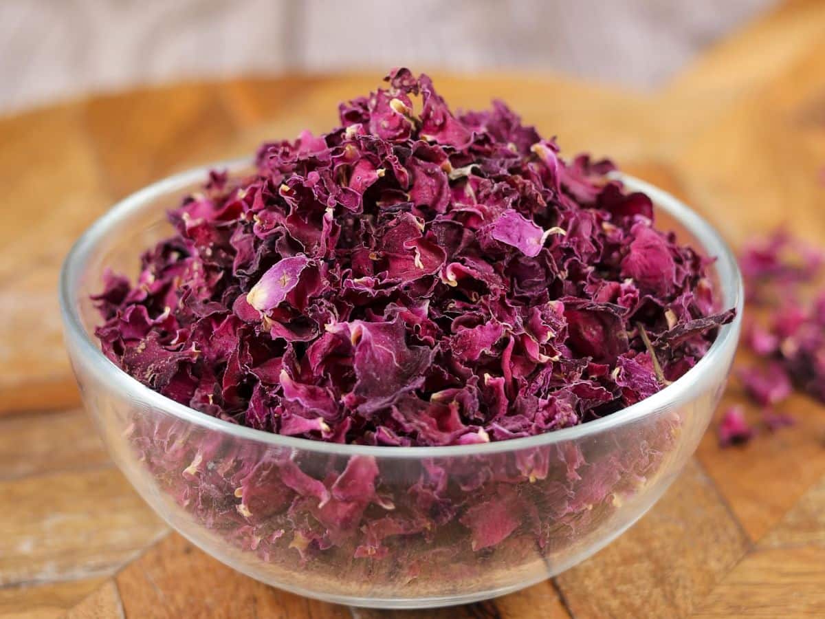 rose petals paste for skin