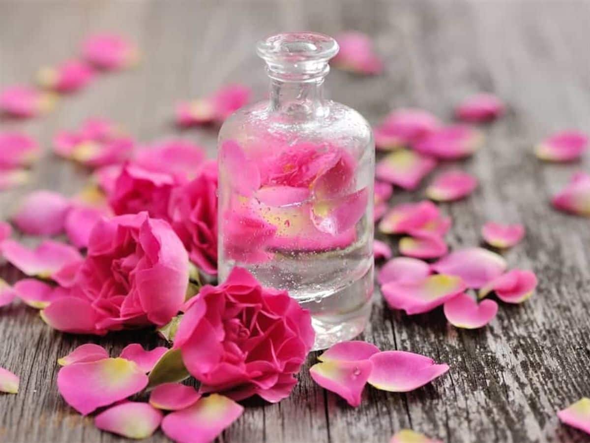 rose water for pimples