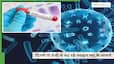 techlusive news