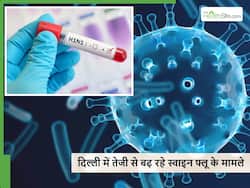 सावधान! दिल्ली में फिर तेजी से बढ़ने लगे स्वाइन फ्लू के मामले, जानें क्या है इसका कारण, लक्षण व बचाव