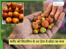 शरीर को Vitamin C से भर देगा ये छोटा सा फल, गर्मियों में खूब मिलेगा सस्ते रेट में जानें इसके फायदे