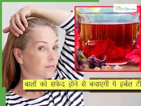 समय से पहले बालों को सफेद होने से बचाने के लिए पिएं ये हर्बल चाय, जानिए चाय बनाने का तरीका