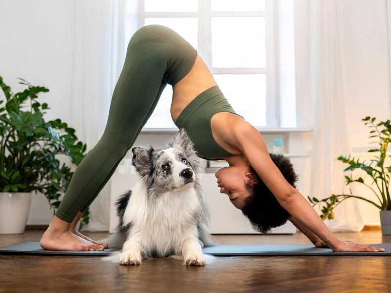 6 Ways To Make Yoga Fun For Beginners So That They Practise It Daily ...
