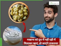मखाना को दूध में नहीं दही में मिलाकर खाएं, हो जाएंगे ताकतवर
