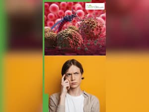 मलेरिया से कम हुई प्लेटलेट्स को जल्दी बढ़ाने के 7 देसी तरीके