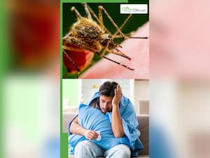 मुझे कैसे पता चलेगा कि मलेरिया है या वायरल बुखार