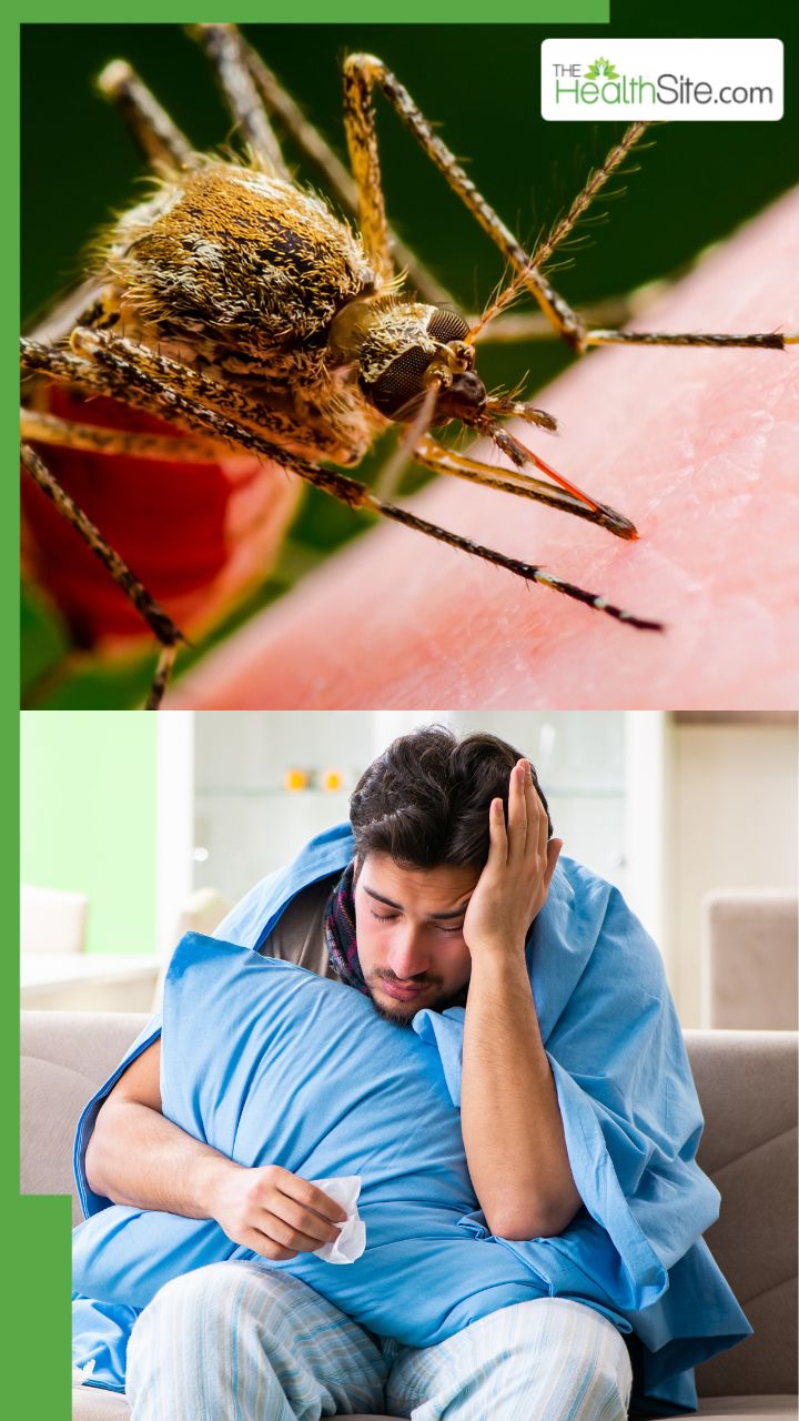 मुझे कैसे पता चलेगा कि मलेरिया है या वायरल बुखार