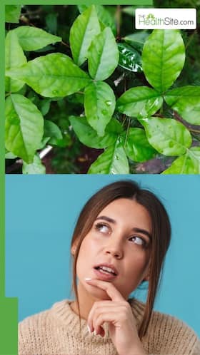 गर्मियों में बेल पत्र की पत्तियों का जूस पीने से क्या होता है?
