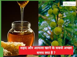 शहद और आमला खाने के सबसे अच्छा समय क्या है