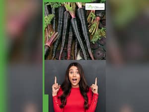 काली गाजर खाने के 8 अद्भुत फायदे