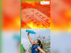 गर्मियों में कौन से बीज खाने से शरीर में ठंडक बनी रहती है?