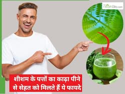 गर्मियों में शीशम के पत्तों का काढ़ा पीने से कौन सी बीमारियां सही होती हैं?