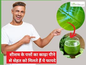 गर्मियों में शीशम के पत्तों का काढ़ा पीने से कौन सी बीमारियां सही होती हैं?