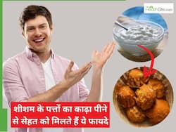 गर्मियों में दही और गुड़ को साथ में खाने से मिलते हैं ये 5 फायदे, नहीं होती पेट की दिक्कतें