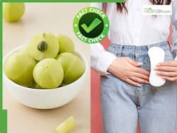 Fact Check: क्या वाकई दिन में 1 आंवला खाने से हार्मोंस और पीरियड्स बैलेंस होते हैं? एक्सपर्ट से जानें वायरल सच