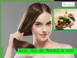 बालों में अमला, रीठा, शिकाकाई पाउडर लगाने के फायदे, जानें इस्तेमाल के 3 तरीके