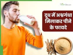 दूध में अश्वगंधा पाउडर मिलाकर पीने से दूर होंगी ये 5 समस्याएं, जानें सेवन का सही समय और तरीका