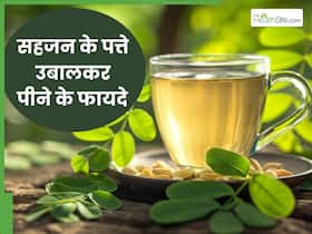 सहजन के पत्तों को उबालकर पीने से सेहत को मिलेंगे ये 5 जबरदस्त फायदे, जानें सेवन का सही तरीका