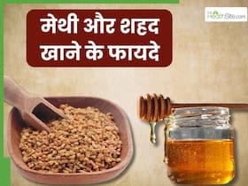 मेथी और शहद को मिलाकर खाने से दूर होंगी ये 5 समस्याएं, जानें सेवन का सही तरीका