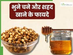 भुने चने में शहद मिलाकर खाने से सेहत को मिलेंगे ये 5 जबरदस्त फायदे, जानें सेवन का सही तरीका