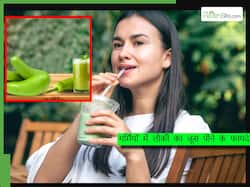 हीटवेट में बीमारियों से बचने के लिए पिएं लौकी का जूस, जानें सेवन का तरीका