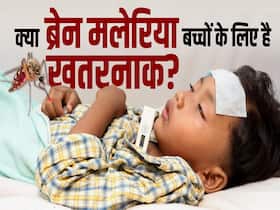 क्या है ब्रेन मलेरिया जिससे बच्चों को है खतरा? जानें एक्सपर्ट से क्या है ब्रेन मलेरिया जिससे बच्चों को है खतरा? जानें एक्सपर्ट से