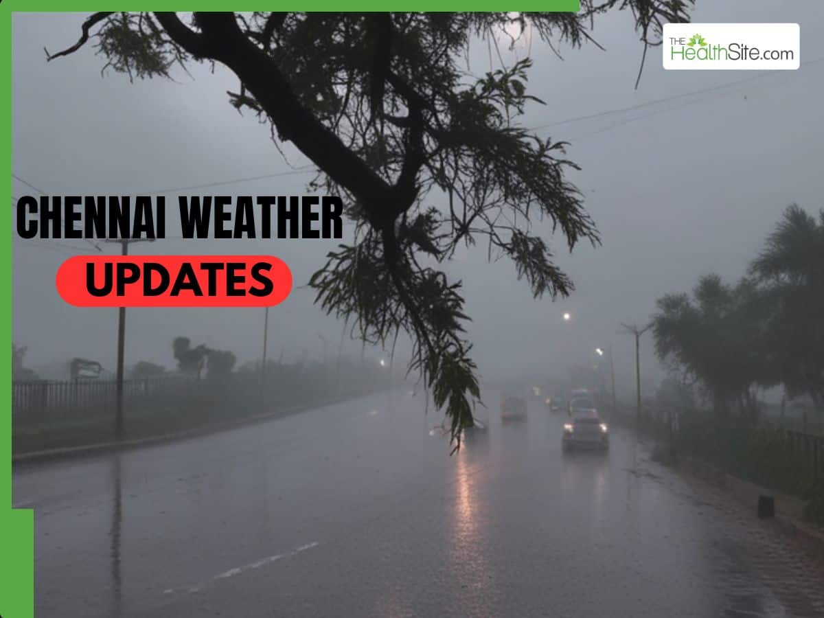 Chennai Weather Update: Thunderstorm, Moderate Rain To Hit Tamil Nadu ...
