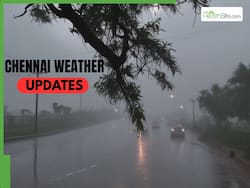 Chennai Weather Updates: Thunderstorm, Moderate Rain To Hit Tamil Nadu Tonight, IMD Issues Warning     Check Full Forecast
