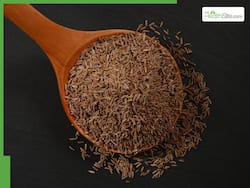 Cumin Seeds Health Benefits: 7 Powerful Reasons To Drink Jeera Pani On An Empty Stomach Daily