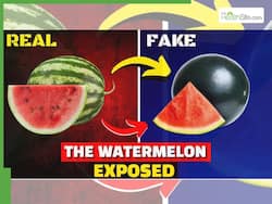 Fake Watermelon Vs Real Test At Home: How To Check If The Watermelon Has Been Injected With Colour, Sugar And Chemicals?