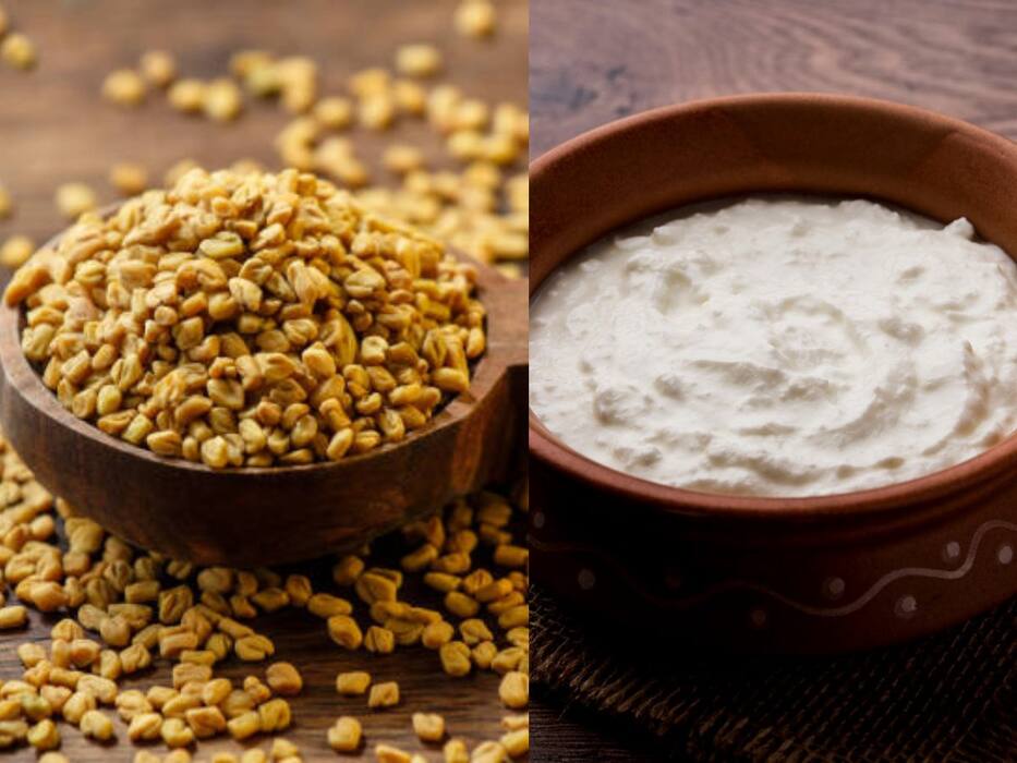 मेथी से बाल लंबे कैसे करें? जानें 5 तरीके, जिनसे तेजी से होगी हेयर ग्रोथ