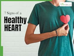 Signs of a Healthy Heart In Summer: 7 Clear Indicators Your Heart Is Working Just Fine