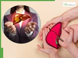 Healthy Liver Signs: 7 Clear Indicators Your Liver Is Working Just Fine