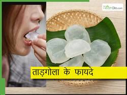 गर्मियों में ठेलों पर बिकता है बर्फ जैसा यह फल, इम्यूनिटी बढ़ाने का है सीक्रेट, जानें सभी फायदे