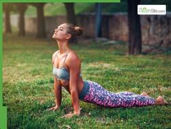 Sunrise Yoga Routine: 6 Simple Yoga Poses You Must Practice Daily In The Morning For Focus And Clarity