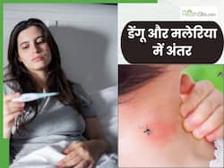 मलेरिया और डेंगू के बुखार में क्या अंतर है? ध्यान से समझें ये 3 लक्षण ताकि समय पर शुरू हो सही इलाज